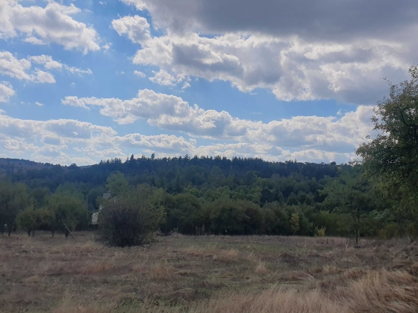 Парцел в с. Муртинци, Област Перник - 1363 кв.м за 8 €/кв.м - Снимка #1