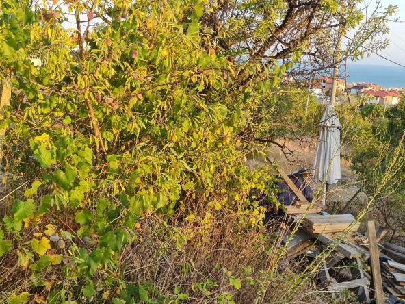 Парцел в Свети Влас - 644 кв.м за 135 €/кв.м - Снимка #1