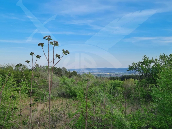 Парцел в с. Чайка, Област Варна - 1161 кв.м за 388 €/кв.м - Снимка #1