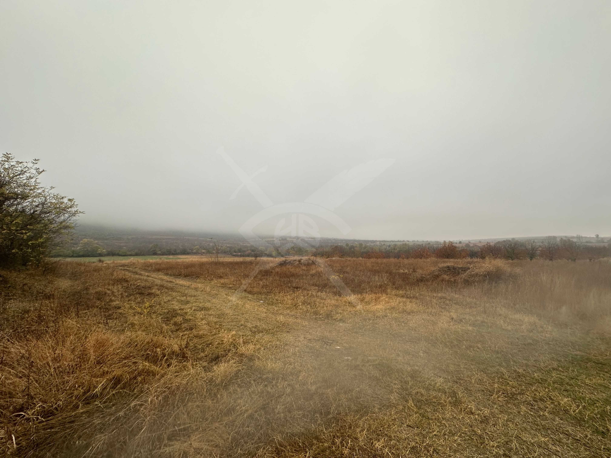 Парцел в Асеновград - 9106 кв.м за 22 €/кв.м - Снимка #1