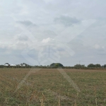 Парцел в Пловдив, Прослав - 5000 кв.м за 24 €/кв.м - Снимка #1