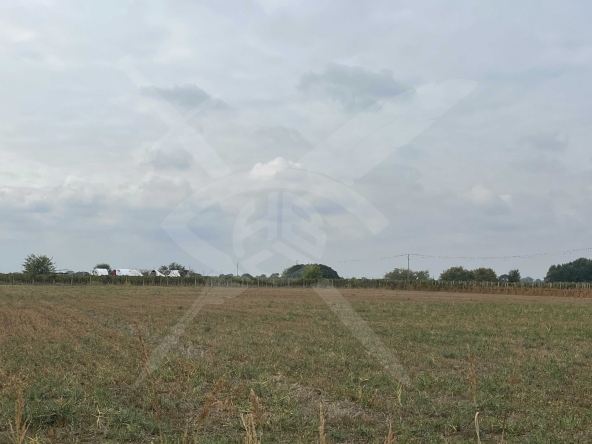 Парцел в Пловдив, Прослав - 5000 кв.м за 24 €/кв.м - Снимка #1