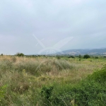 Парцел в с. Марково, Област Пловдив - 2270 кв.м за 38 €/кв.м - Снимка #1