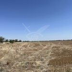 Парцел в с. Царацово, Област Пловдив - 3300 кв.м за 4 €/кв.м - Снимка #1