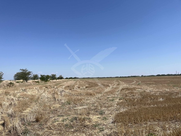 Парцел в с. Царацово, Област Пловдив - 3300 кв.м за 4 €/кв.м - Снимка #1