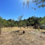 Парцел в Габрово, Беленци - 4031 кв.м за 9 €/кв.м - Снимка #1