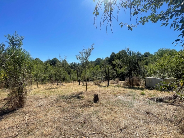 Парцел в Габрово, Беленци - 4031 кв.м за 9 €/кв.м - Снимка #1