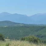 Дава се под наем Земеделски имот в с. Гуцал, Област София-област -  кв.м за 22.95 € - Снимка #1