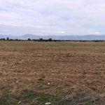 Земеделски имот в с. Желю войвода, Област Сливен -  кв.м за 1444 €/дка - Снимка #1