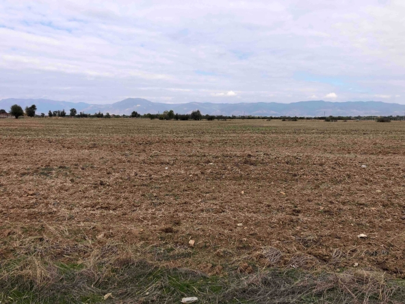 Земеделски имот в с. Желю войвода, Област Сливен -  кв.м за 1444 €/дка - Снимка #1