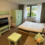 Едностаен апартамент в Банско - 37 кв.м за 1217 €/кв.м - Снимка #1