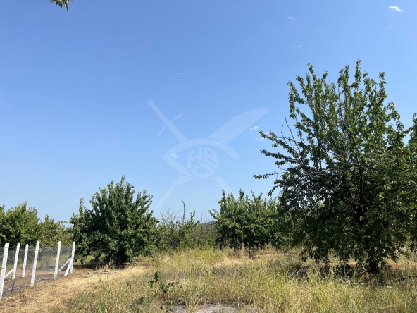 Парцел в с. Брестник, Област Пловдив - 1072 кв.м за 52 €/кв.м - Снимка #1