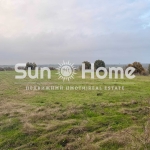 Парцел в с. Овчарово, Област Хасково - 10000 кв.м за 2 €/кв.м - Снимка #1