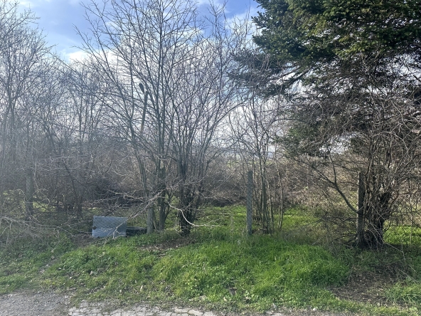 Парцел в Варна, Колхозен пазар - 500 кв.м за 26 €/кв.м - Снимка #1