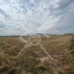 Парцел в с. Труд, Област Пловдив - 5898 кв.м за 44 €/кв.м - Снимка #1