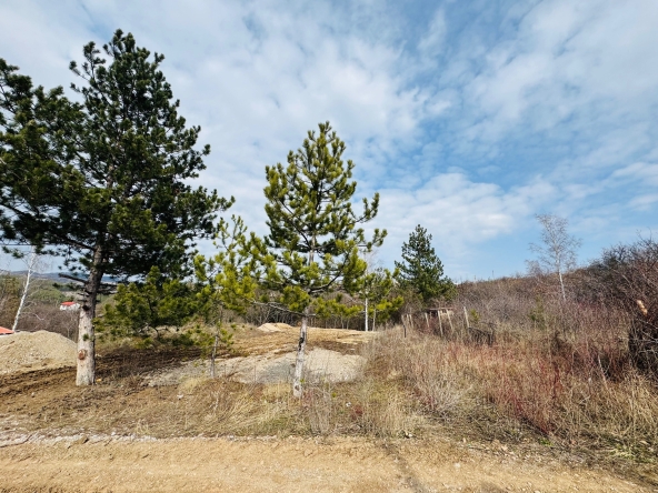 Парцел в София, Център - 610 кв.м за 29 €/кв.м - Снимка #1