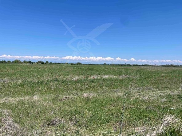 Парцел в с. Крумово, Област Пловдив - 6299 кв.м за 8 €/кв.м - Снимка #1