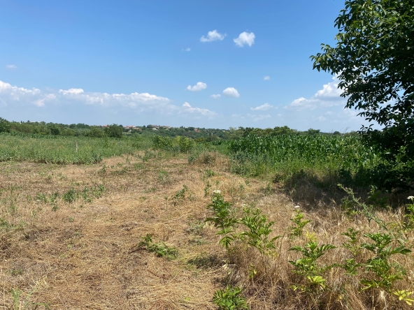 Парцел в с. Калипетрово, Област Силистра - 2000 кв.м за 12 €/кв.м - Снимка #1