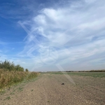 Парцел в с. Царацово, Област Пловдив - 3000 кв.м за 15 €/кв.м - Снимка #1