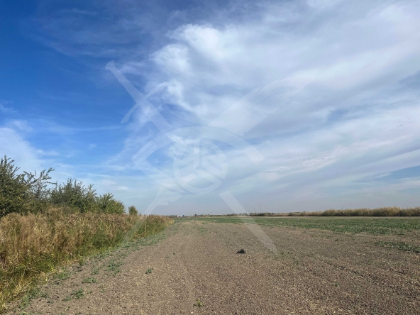 Парцел в с. Царацово, Област Пловдив - 3000 кв.м за 15 €/кв.м - Снимка #1