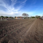 Парцел в с. Люляково, Област Добрич - 1200 кв.м за 3 €/кв.м - Снимка #1