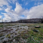 Дава се под наем Парцел в с. Шереметя, Област Велико Търново - 1000 кв.м за 459 € - Снимка #1