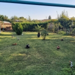 Къща в с. Ресен, Област Велико Търново - 138 кв.м за 689 €/кв.м - Снимка #1