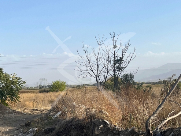 Парцел в с. Браниполе, Област Пловдив - 8000 кв.м за 45 €/кв.м - Снимка #1