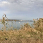 Парцел в с. Константиново, Област Варна - 4000 кв.м за 15 €/кв.м - Снимка #1