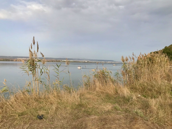 Парцел в с. Константиново, Област Варна - 4000 кв.м за 15 €/кв.м - Снимка #1