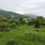 Парцел в с. Скобелево, Област Стара Загора - 2500 кв.м за 8 €/кв.м - Снимка #1