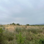 Парцел в с. Марково, Област Пловдив - 2240 кв.м за 24 €/кв.м - Снимка #1