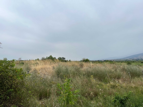 Парцел в с. Марково, Област Пловдив - 2240 кв.м за 24 €/кв.м - Снимка #1