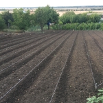 Парцел в Силистра, Изток - 1300 кв.м за 6 €/кв.м - Снимка #1