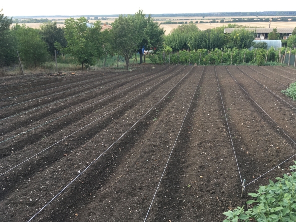 Парцел в Силистра, Изток - 1300 кв.м за 6 €/кв.м - Снимка #1