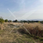 Парцел в Пловдив, Прослав - 5435 кв.м за 100 €/кв.м - Снимка #1