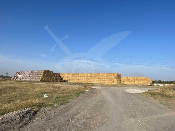 Парцел в Асеновград - 4200 кв.м за 38 €/кв.м - Снимка #1