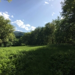 Парцел в Вършец - 3000 кв.м за 13 €/кв.м - Снимка #1