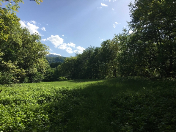 Парцел в Вършец - 3000 кв.м за 13 €/кв.м - Снимка #1