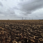 Парцел в с. Мрамор, Област София-град - 17868 кв.м за 52 €/кв.м - Снимка #1