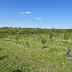 Земеделски имот в с. Лехчево, Област Монтана -  кв.м за 1326 €/дка - Снимка #1