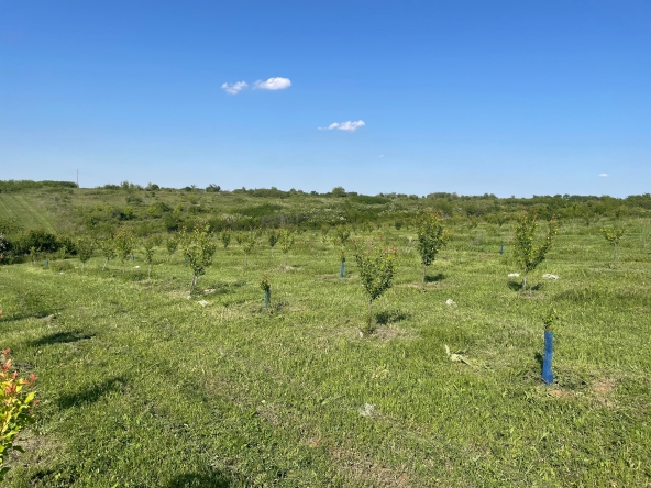 Земеделски имот в с. Лехчево, Област Монтана -  кв.м за 1326 €/дка - Снимка #1