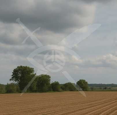 Парцел в с. Червен, Област Пловдив - 30000 кв.м за 1 €/кв.м - Снимка #1