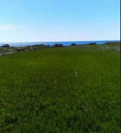 Парцел в с. Калояновец, Област Стара Загора - 10500 кв.м за 9 €/кв.м - Снимка #1