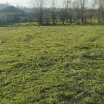 Парцел в Провадия - 1050 кв.м за 10 €/кв.м - Снимка #1