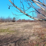 Земеделски имот в Търговище, Център -  кв.м за 1403 €/дка - Снимка #1