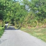 Парцел в с. Ялово, Област Велико Търново - 2115 кв.м за 14 €/кв.м - Снимка #1