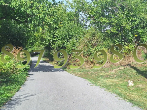 Парцел в с. Ялово, Област Велико Търново - 2115 кв.м за 14 €/кв.м - Снимка #1