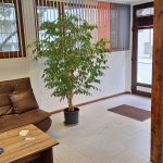 Дава се под наем Офис в Варна, Център - 47 кв.м за 493.68 € - Снимка #1