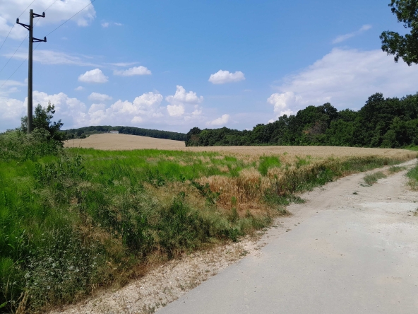 Земеделски имот в Белослав -  кв.м за 22223 €/дка - Снимка #1